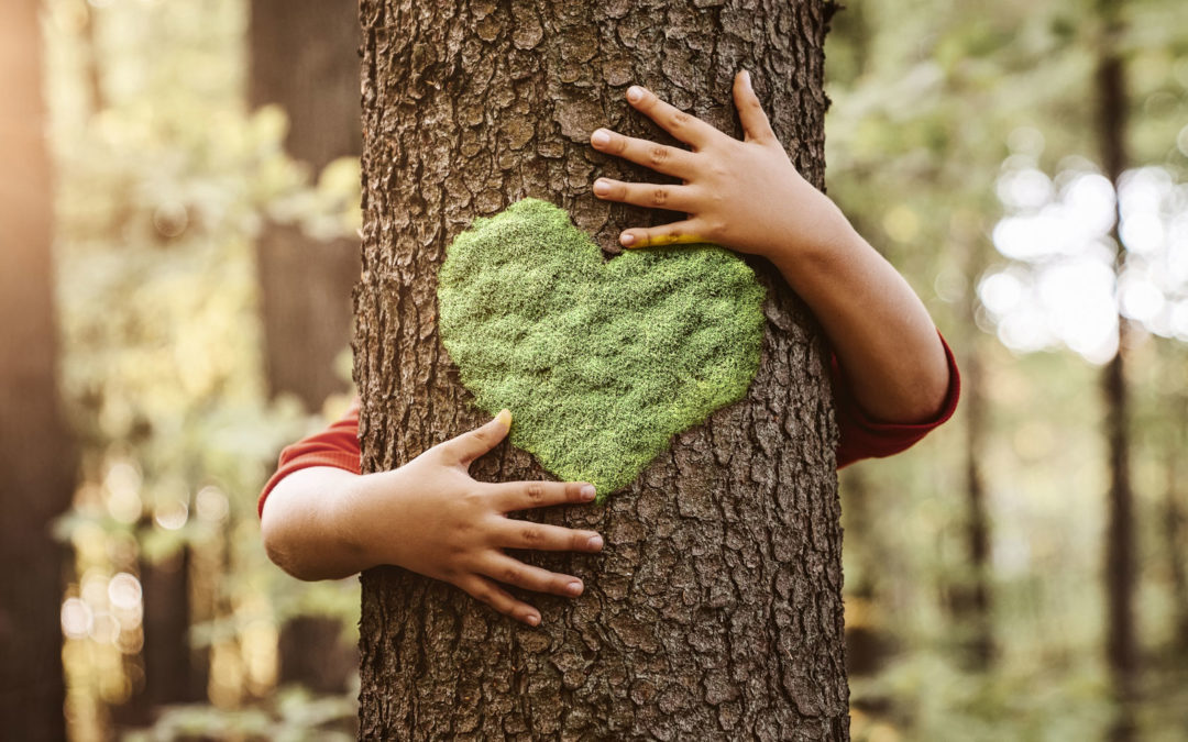 Saiti Kids: nuestro compromiso con la ecología y el medio ambiente