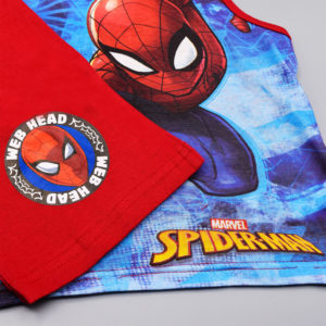 Conjunto de Verano dos piezas Spiderman niño