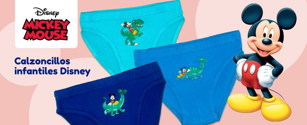 Ropa Bebe Boxer Niu00f1os Pack X6 Elemento Calzoncillos Surtidos